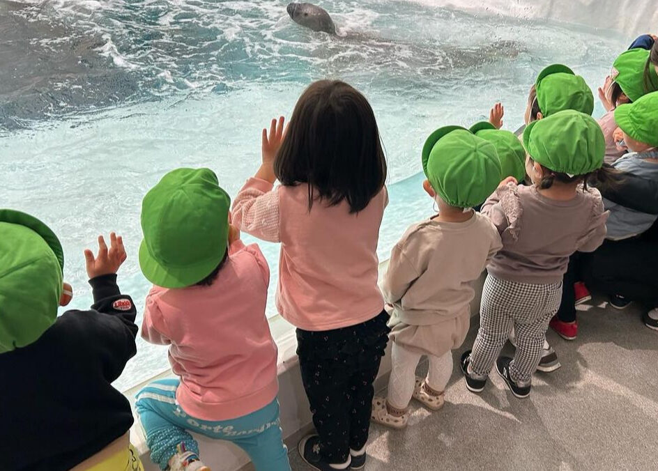 秋の遠足は水族館でした